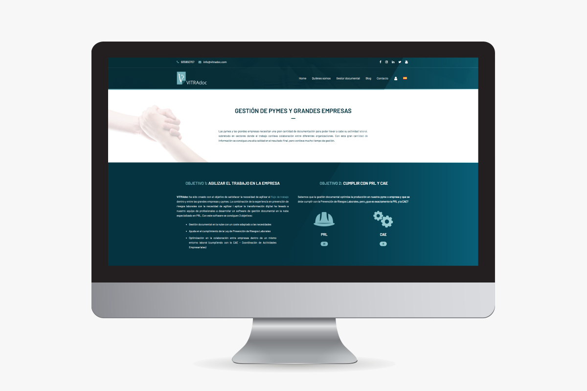 seo web